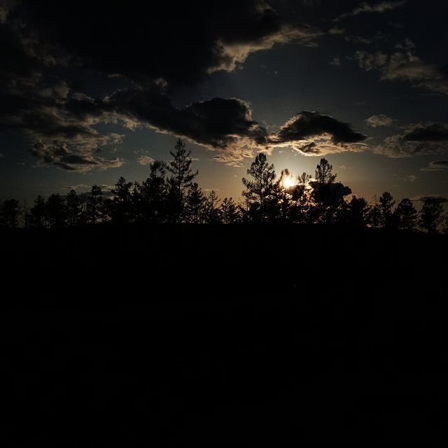 sobirjonow в LOOKY. . Природа 24.05.2023