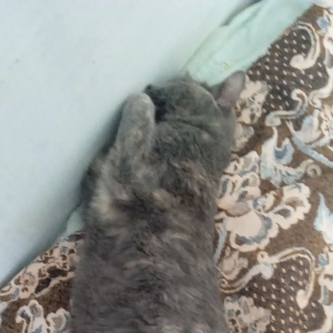 🥰