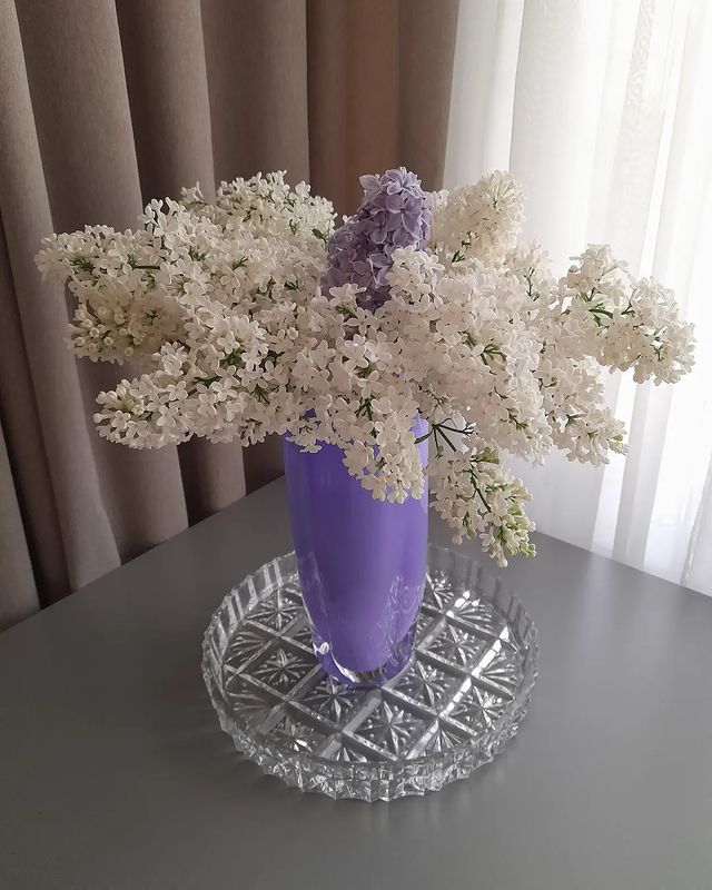 natalinevel в LOOKY. #сирень,#многоцветов,#букет,#весна,#красотадома,#белаясирень,#уютвдоме. Моя любовь! В Питере...