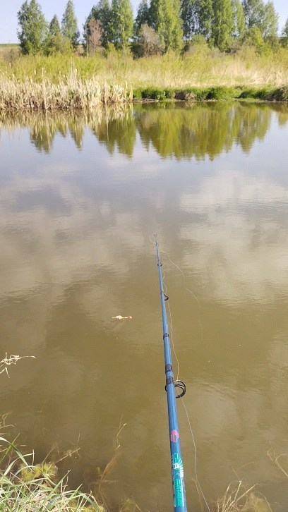 1bulatik в LOOKY. . Рыблака 🎣