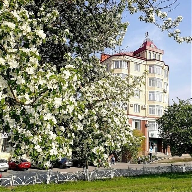 pvk_news в LOOKY. #pvk_news,#первоуральск,#первоуральсклайф,#первоуральскгородчемпионов,#первик,#новостипервоуральска,#пвк,#pvk,#pvknews,#пнтз,#ревда,#новотрубный,#шайбапервоуральск,#икцпервоуральск. Всем отличной суббот...