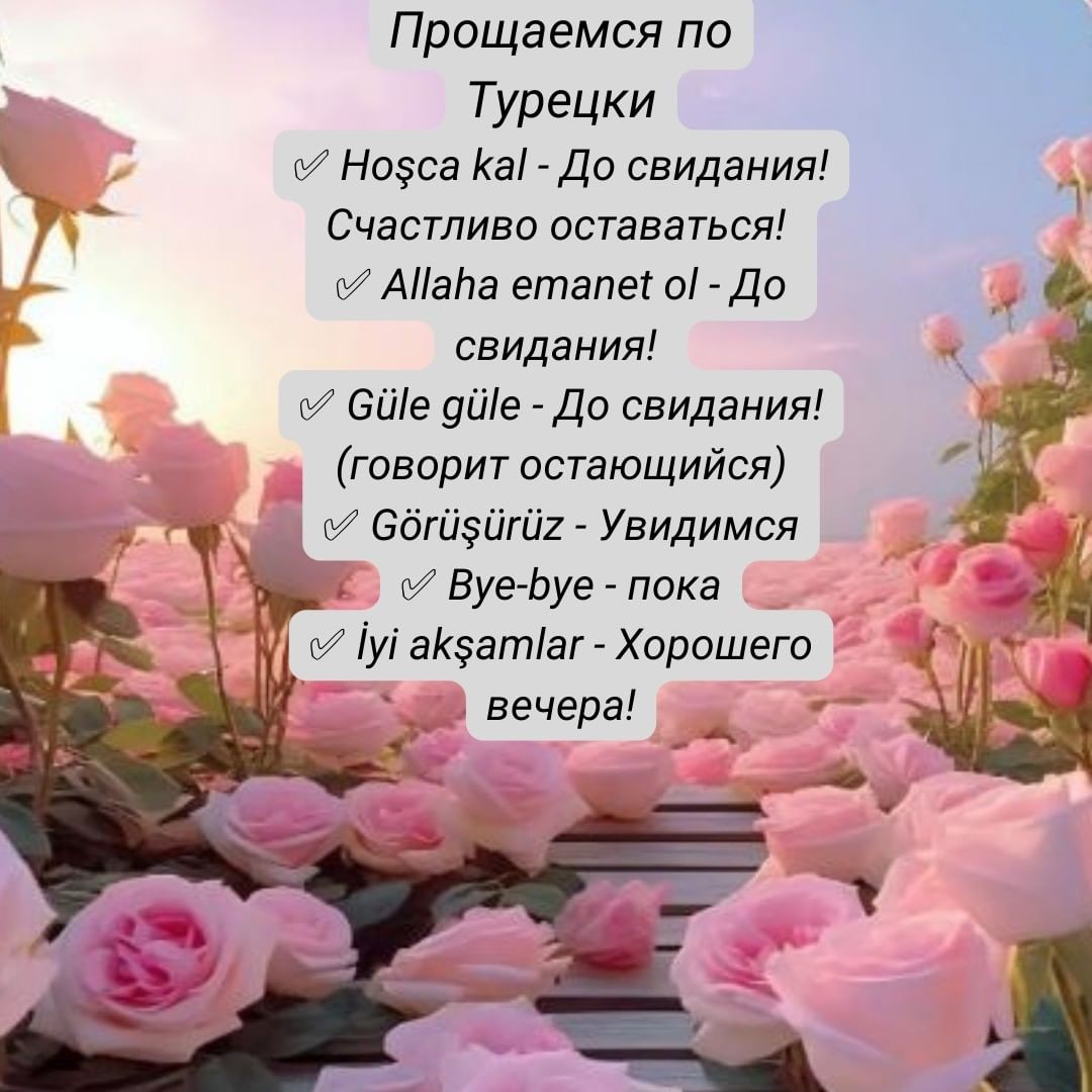 Прощаемся по Турецки #какпрощатьсяпотурецки 
✅ Hoşca kal - До свидания! Счастливо оставаться! 
✅ Allaha emanet ol - До свидания! 
✅ Güle güle - До свидания! (говорит остающийся)
✅ Görüşürüz - Увидимся
✅ Bye-bye - пока
✅ İyi akşamlar - Хорошего вечера!

Подписывайтесь, ставьте лайк,записывайтесь на уроки
#каквыучитьтурецкий #турецкийбыстро #турецкийонлайн #турецкийанталия #турция2023🇹🇷 #турциямореотдых #турецкийязык