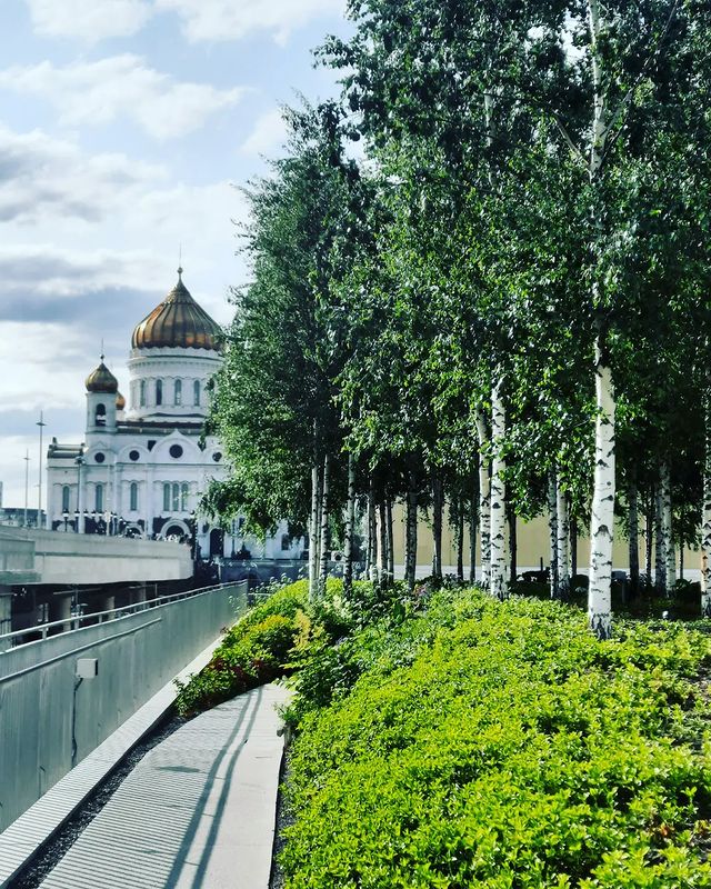 love_sunny2001 в LOOKY. . null