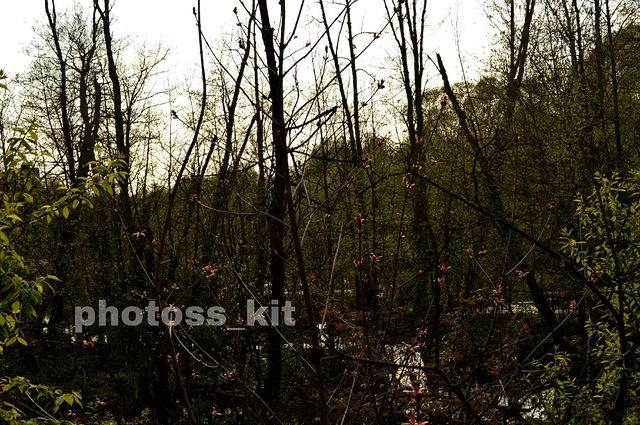 photoss_kit в LOOKY. . Набережная в Покровс...