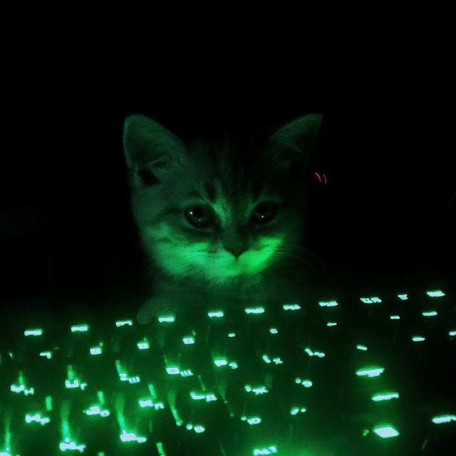 vayziks в LOOKY. . Я столько искала