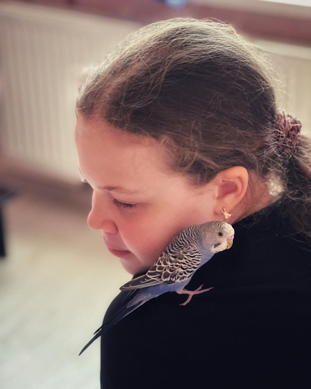 arinka_model_