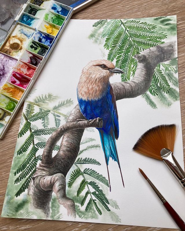 mariayarmish_botanicalart в LOOKY. #иллюстрацияптиц,#птицыакварелью,#ботаническаяиллюстрация,#художникахби,#watercolorbirds,#beautifulbirds,#сизоворонка,#синяяптица,#марияярмиш,#bluebird. Люблю свою работу за...