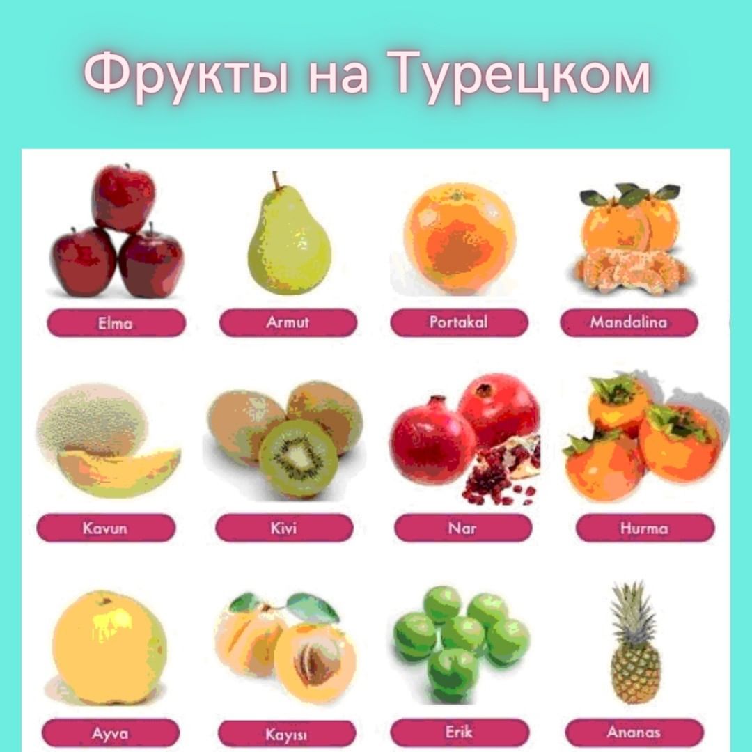 Фрукты на Турецком Языке!
🔹Elma-Яблоко
🔹Armut-Груша
🔹Portakal-Апельсин
🔹Mandalina-Mандарин
🔹Kavun- Дыня
🔹Kivi -Киви
🔹Nar -Гранат
🔹Hurma- Финик
🔹Ayva -Айва
🔹Kayısı- Абрикос
🔹Erik -Слива
🔹Ananas- Ананас
🔹Şeftali- Персик
🔹Muz -Банан
🔹Karpuz- Арбуз
🔹Üzüm- Виноград
🔹Kiraz -Черешня
🔹Vişne-Вишня
🔹Limon- Лимон
🔹Çilek -Клубника
🔹İncir -инжир
Подписывайтесь, ставьте лайк, учите Турецкий с нами!

#турецкийязык #турецкийонлайн #учимтурецкий #турецкийснуля #турецкийлексика #турецкийскайп #турция #море #жизньвтурции
#турецкийдлярусских