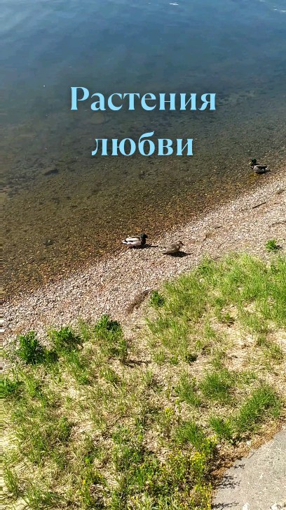 evdokiya_pro_magic in LOOKY