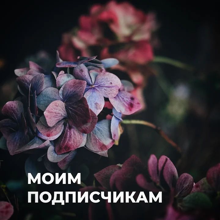 Дорогие друзья, 🙏
я не потерялась и не пропала. Давно не писала, так как занята подготовкой одного мероприятия в рамках NoFakeLandscape, которое будет проходить в Санкт-Петербурге на Фестивале гортензии 2023. Хочется сделать что-то интересное и запоминающееся. И я думаю, у нас всё получится. Приходите, будет круто! 🤍

P.S. Готовлю для вас статью по органическому земледелию. Информации много, изучаю нормативные документы и мнения специалистов.