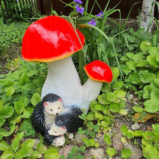 alla_foma2 в LOOKY. . Мои наивные садовые ...