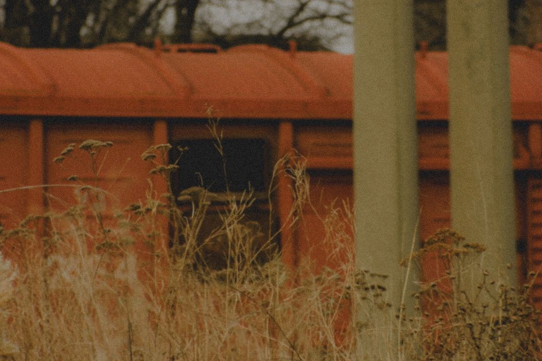 way_to_pro_in_photo_ в LOOKY — фото 3