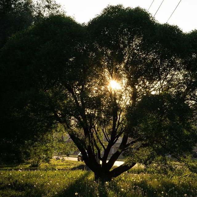 d4rk_r4bbit в LOOKY. #photo,#photography,#d4rk_r4bbit,#sonya,#2023,#sunset,#landscape,#cityscape. ... 

#photo #photog...