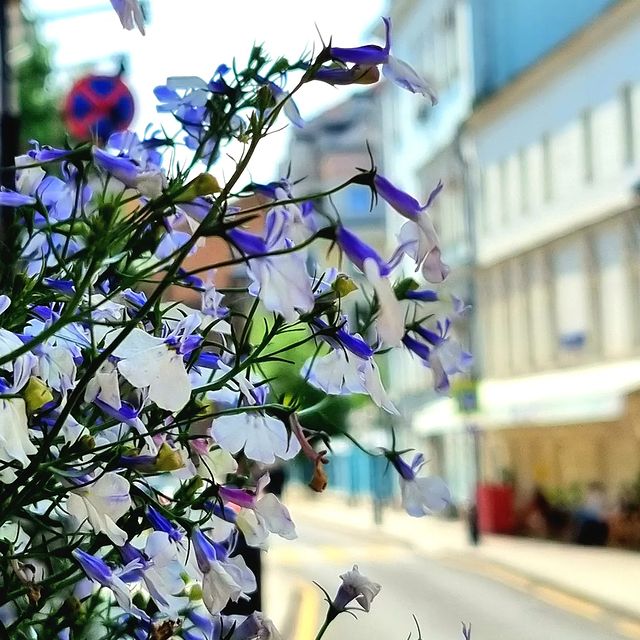 nadezda_goodluck в LOOKY. . Последний день весны...