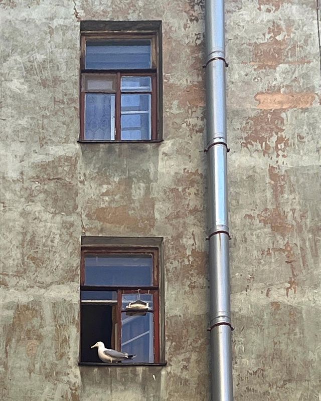 lukyanov_viktor в LOOKY. . null
