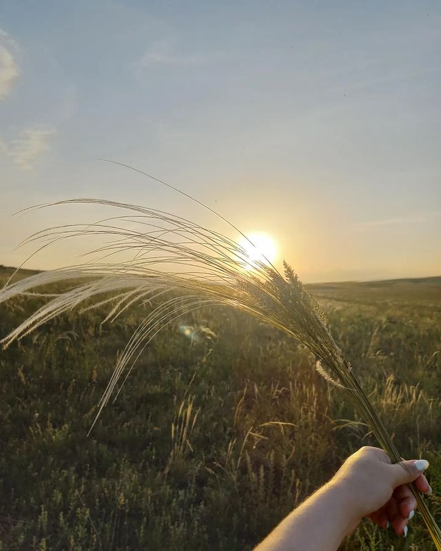 vasha_sanya_ в LOOKY. #лето2023. Первое уединение с п...