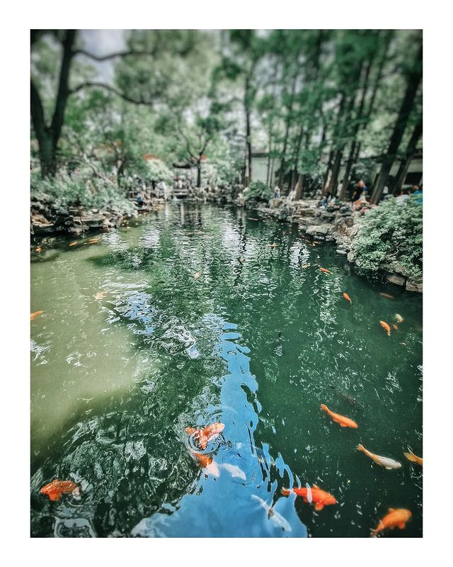 bor.is.here в LOOKY. . Yu Garden, Shanghai,...