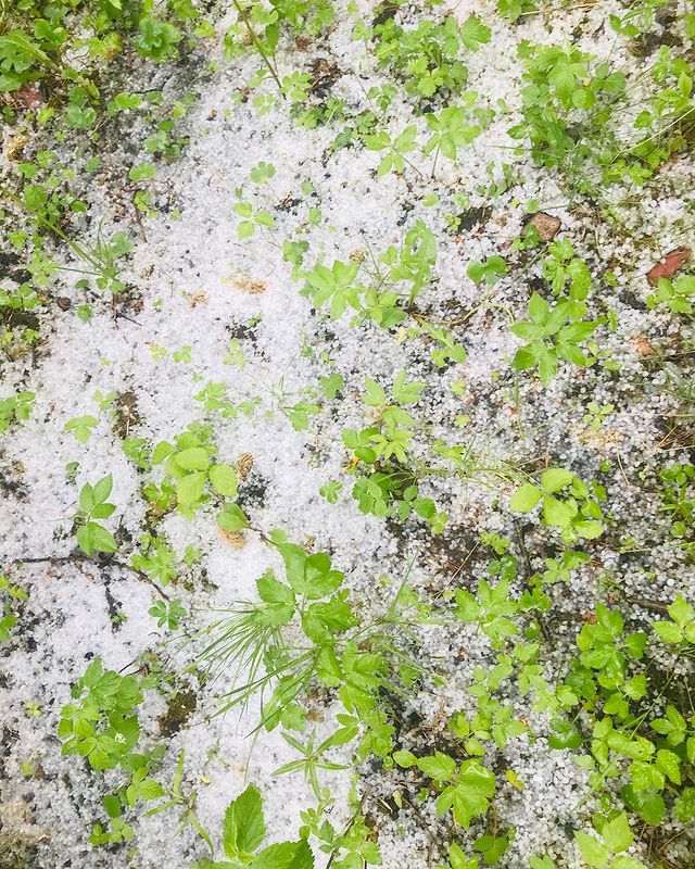 svetuliyalisa в LOOKY. . За городом сурово 😵...