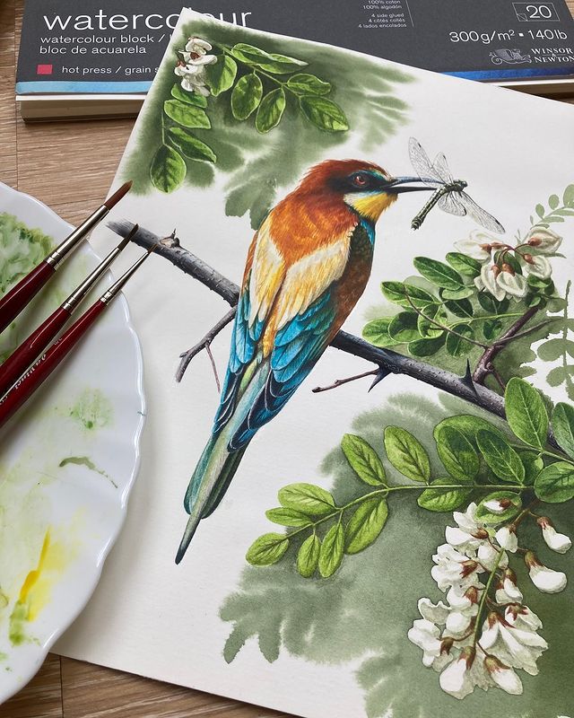 mariayarmish_botanicalart в LOOKY. #иллюстрацияптиц,#птицыакварелью,#иллюстрацияназаказ,#красотаприроды,#удивительныептицы,#beeeater,#watercolorbird,#sabaartist,#художникахби,#ботаническийхудожник,#зарисовкинатуралиста. Впервые эту красоту ...