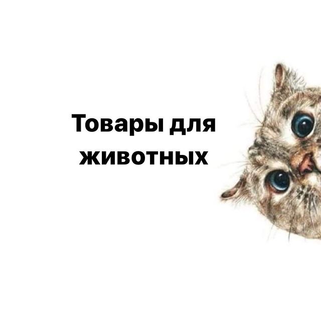 kseniia_volkova.n в LOOKY. . Четыре Лапы
✅RADOST2...
