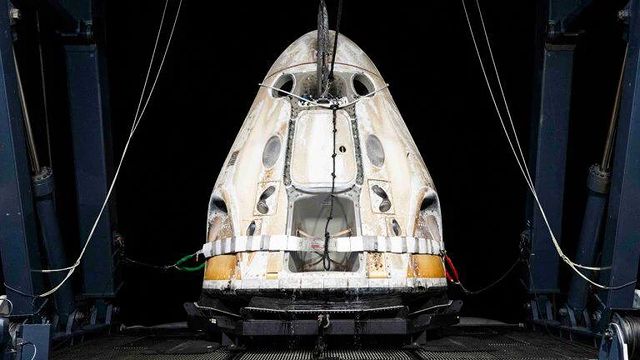 elonmusk14641 в LOOKY. . Following an 8-day s...