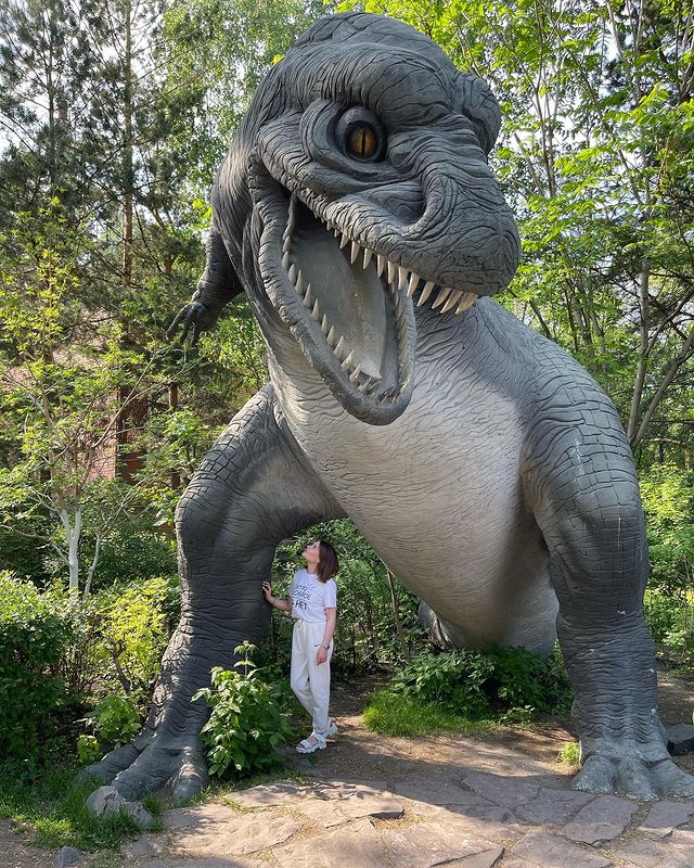 iraautocom в LOOKY. #зоопарк,#новосибирскийзоопарк,#зоопаркновосибирск,#zoopark,#zoo,#динозавры,#динозаврики,#лето,#лето2023. Крайний раз я была в...