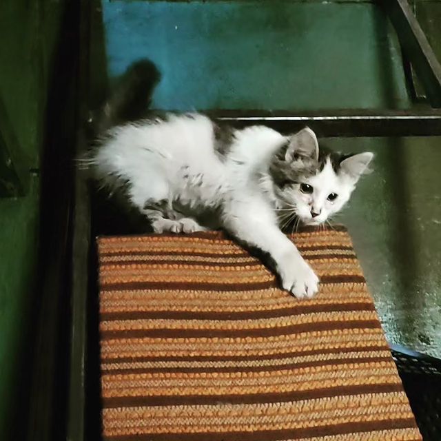 bryni62 в LOOKY. . Мишка 🥰🐈