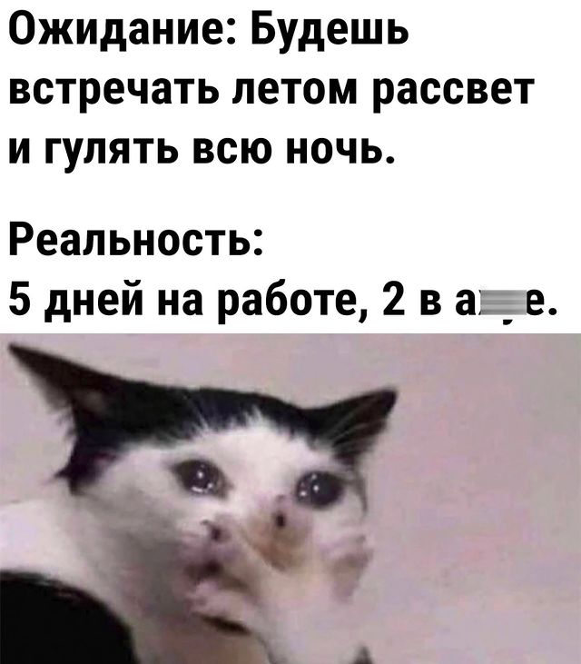 vitaly_pronin в LOOKY. . Когда переехал жить ...