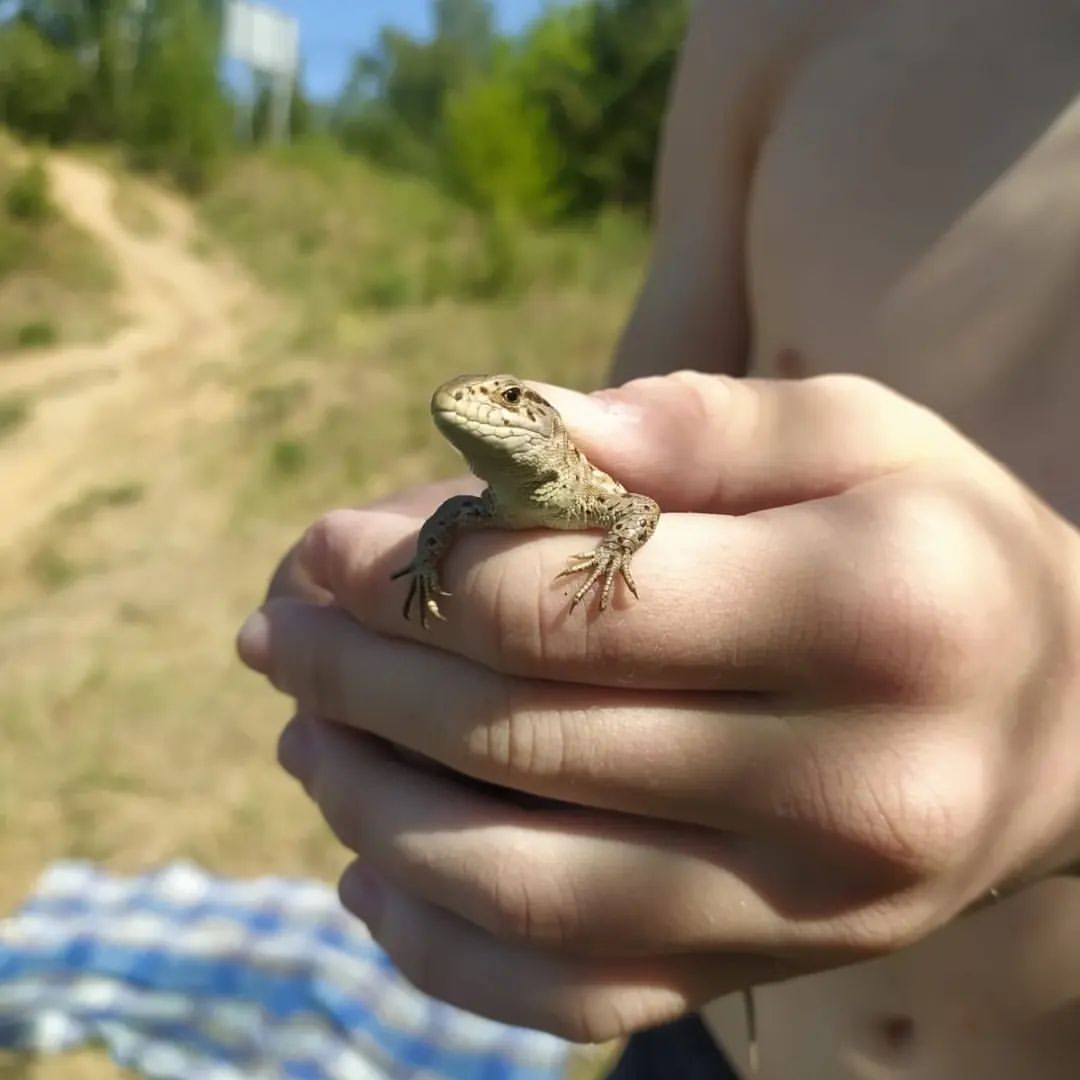 anuttft в LOOKY. . Доброго денечка всем...