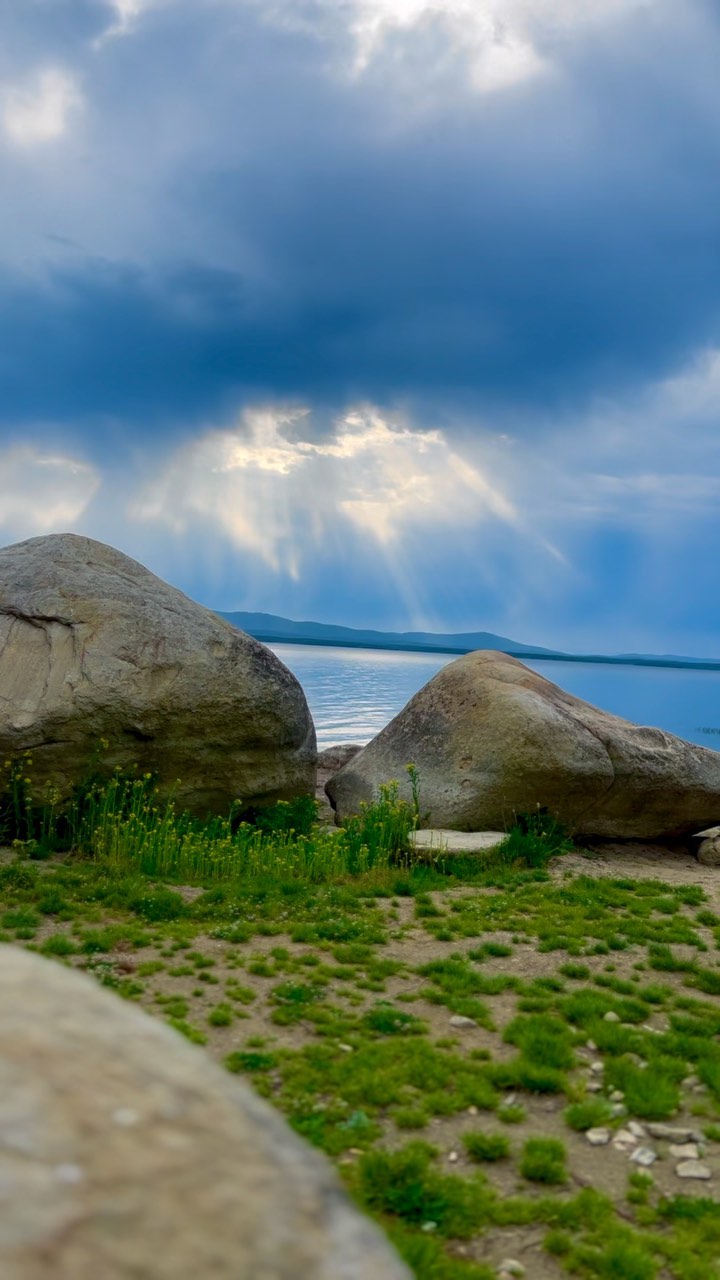 sanches_star в LOOKY. . null