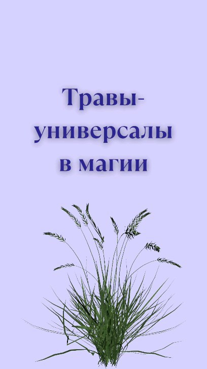 evdokiya_pro_magic in LOOKY
