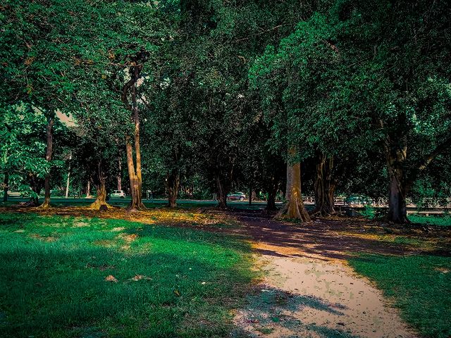 reydleyph в LOOKY. #fotografia,#photography,#photo,#photomag,#damefotisimo,#photogram,#today,#habana,#bosque,#verde,#instaphoto,#instalike,#travelgram,#viajeros,#shoot,#artgallery,#art,#collaboration,#fotoclub_ab,#foto,#liker,#l4l,#follow_me,#2023,#rawphotomag. Natura!!
.
.
.
#foto...