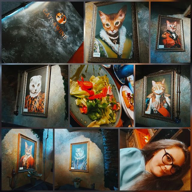 akira_onodera_ в LOOKY. . 🐈‍⬛🍷