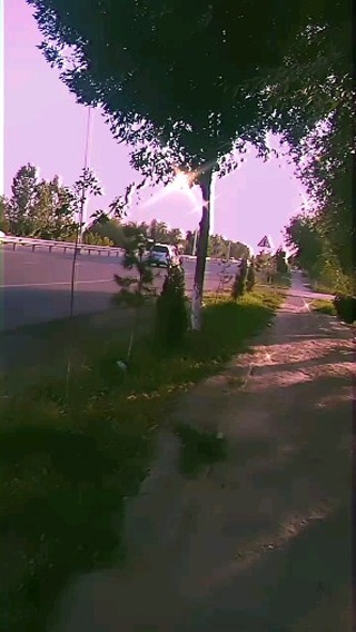 nigina2003 в LOOKY. . null