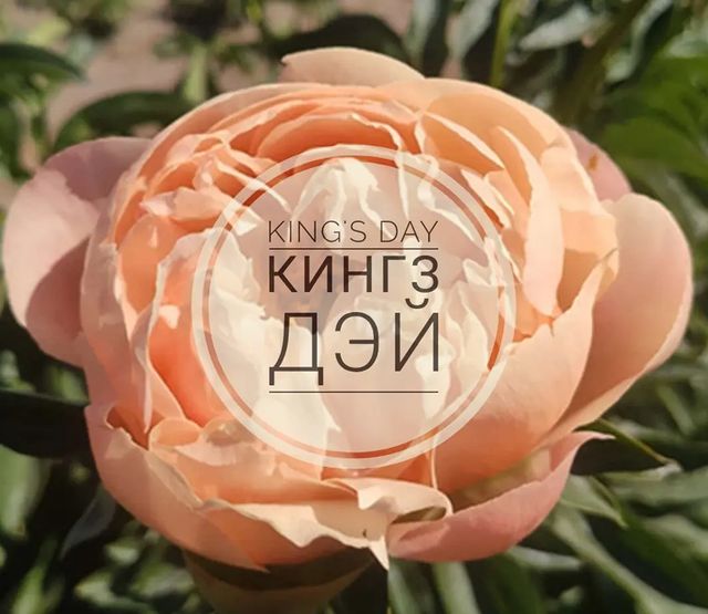 pion_volgograd в LOOKY. . 🌸King's Day (Кингз ...