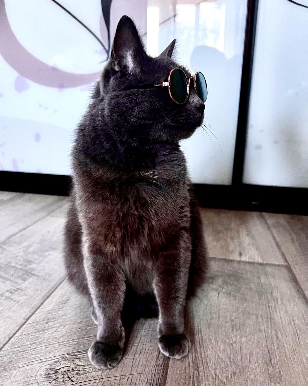 14_lauri_12 в LOOKY — фото 3