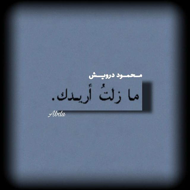abdu_1434 в LOOKY. #محمود_درويش,#آداب,#شعر,#اقتاباسات,#مشاهير,#منشن,#م,#foryou,#fyp,#fypシ,#abdu_1434. ما زلتُ أريدك.❤️‍🩹....