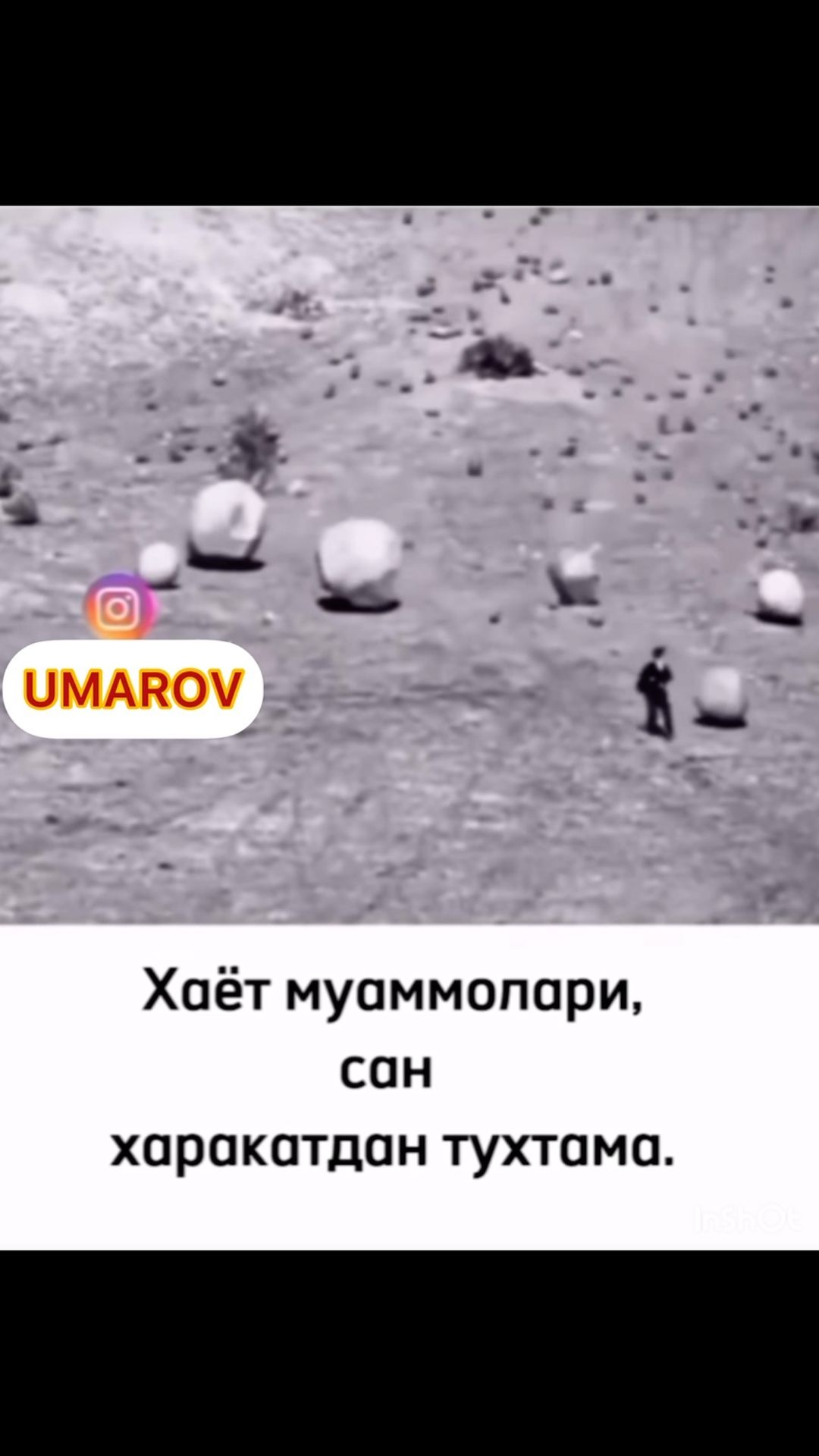 umarov.abdulxakim.official в LOOKY. . null