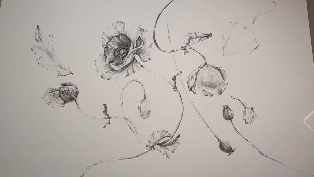 Ksenia • Visual artist в LOOKY. #botanicalgraphics,#botanicalgraphicart,#botanicalartist,#poppiesartwork,#liner,#linerart,#inkdrawing,#inkartwork,#ботаническаяграфика,#ботаническийхудожник,#маки. • Poppies compositio...