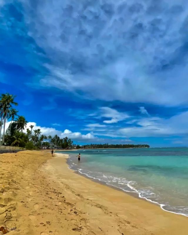 irusik_dominicana в LOOKY. #dominicana#caribe#dominicanrepublic,#isla#oceano#sol#paraiso#plaja,#puntacana#lasterenas#viaje#bavaro,#island#ocean#paradise#travel,#остров#океан#солнце#рай#пляж#рассвет,#путешествие#доминикана#баваро,#пунтакана#ластеренас#самана. Hola amigos 😊
⠀
Обр...