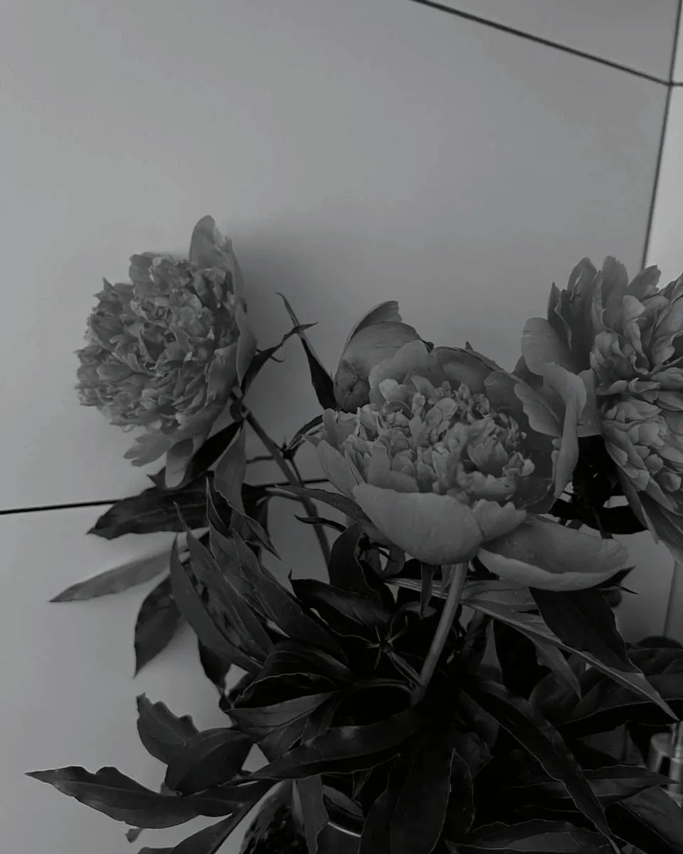 🪨🌷🫶🏻
#rf
#beauty #flowers