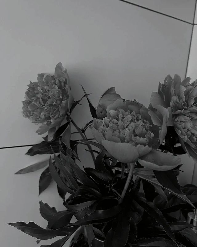 liya_sunset в LOOKY. #rf,#beauty,#flowers. 🪨🌷🫶🏻
#rf
#beauty...