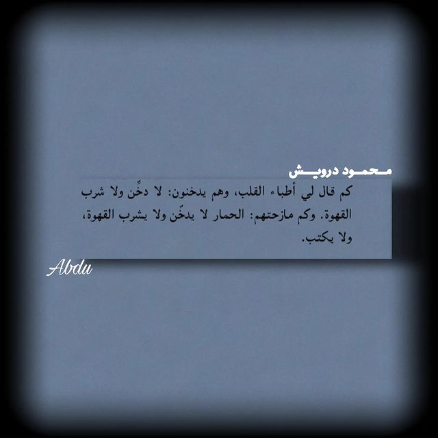 abdu_1434 в LOOKY. #محمود_درويش,#آداب,#شعر,#اقتاباسات,#مشاهير,#منشن,#م,#foryou,#fyp,#fypシ,#abdu_1434. الحمار لا يدخن ولا ي...