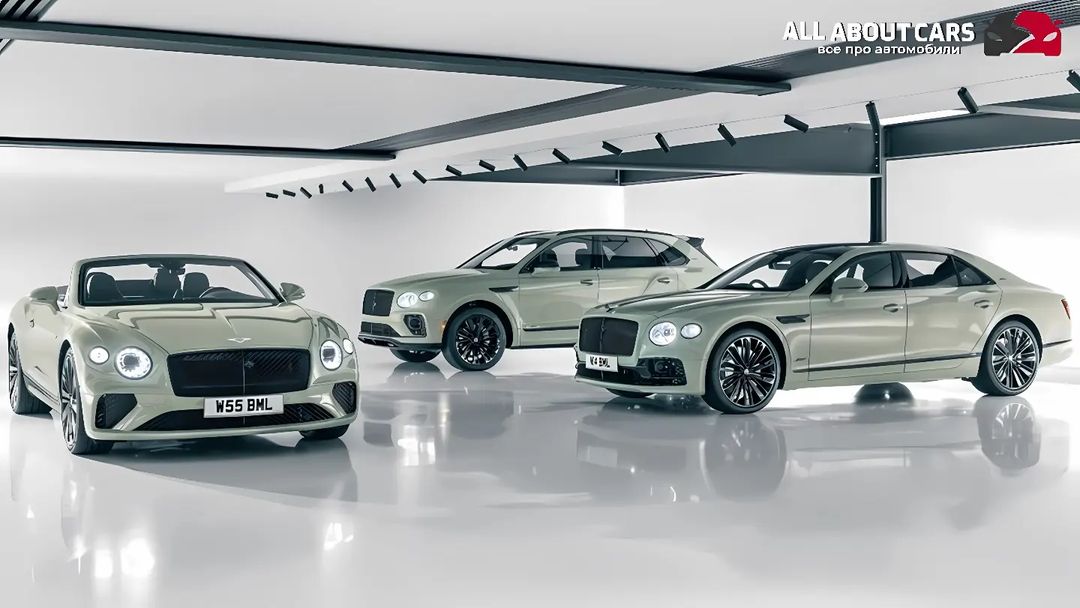 all_about_cars_official_page в LOOKY — фото 10