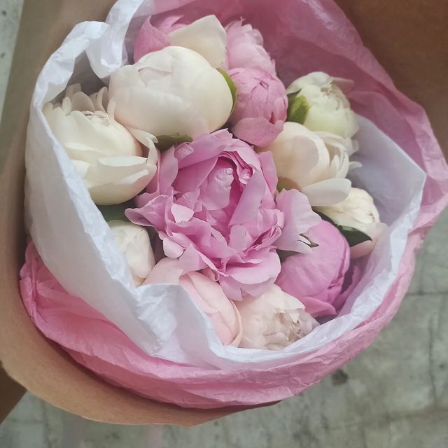 pion_volgograd в LOOKY. . Бело-розовые пионы. ...