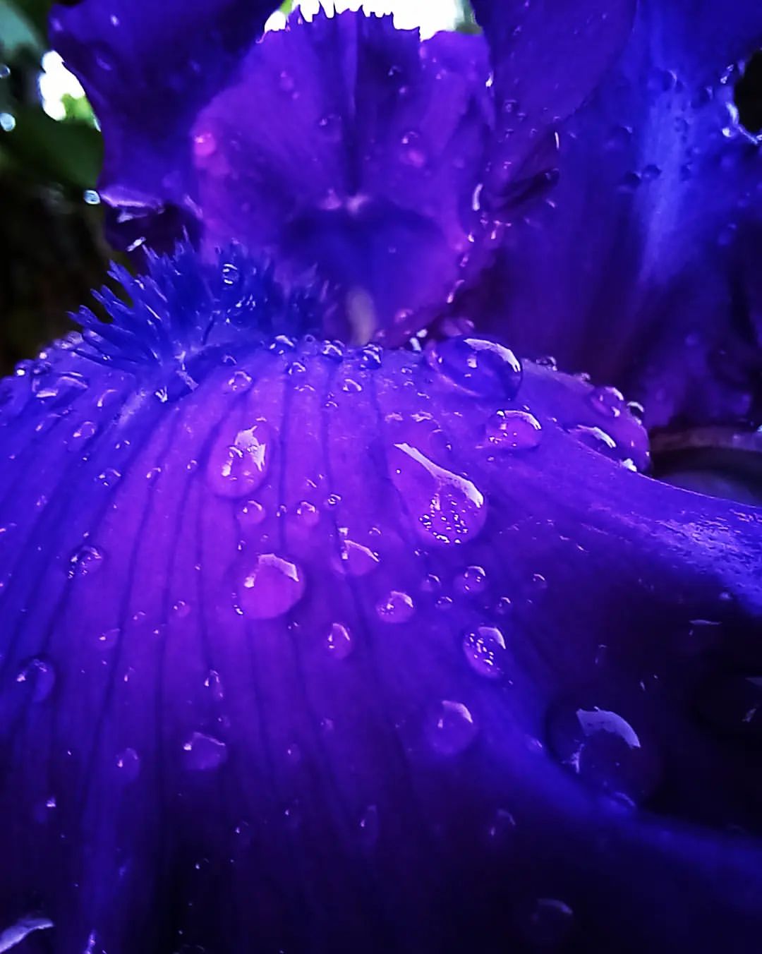 green_._style в LOOKY — фото 2