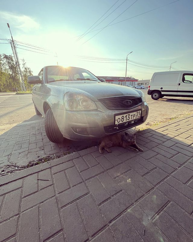 daev.oleg1991 в LOOKY. . null
