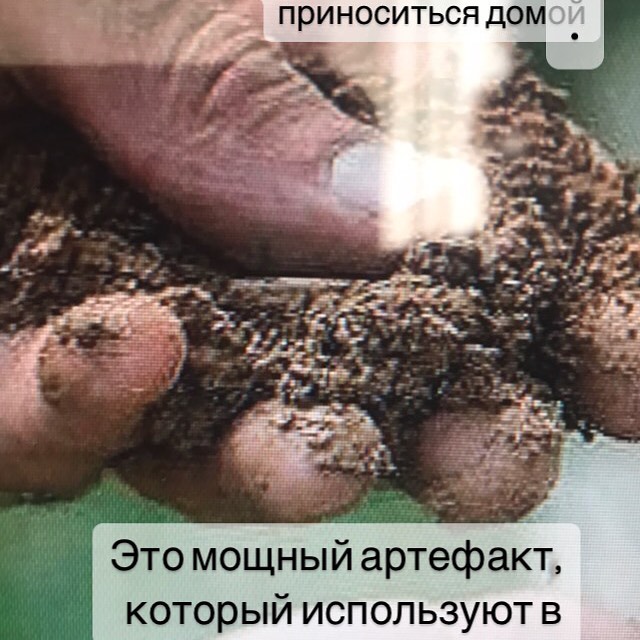 silphida_runes в LOOKY. . null
