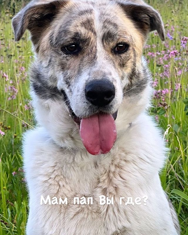 martyns_family в LOOKY. . Чудесный мальчишка С...