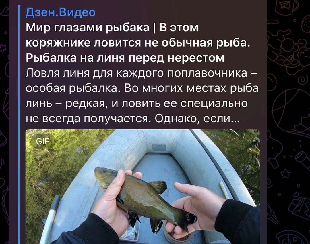 eresin_andrei в LOOKY — Друзья поддержите канал на Дзене «Мир глазами рыбака» 🙏💪🙏